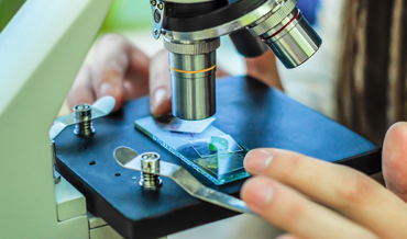 Réviser l’enseignement scientifique en 1re