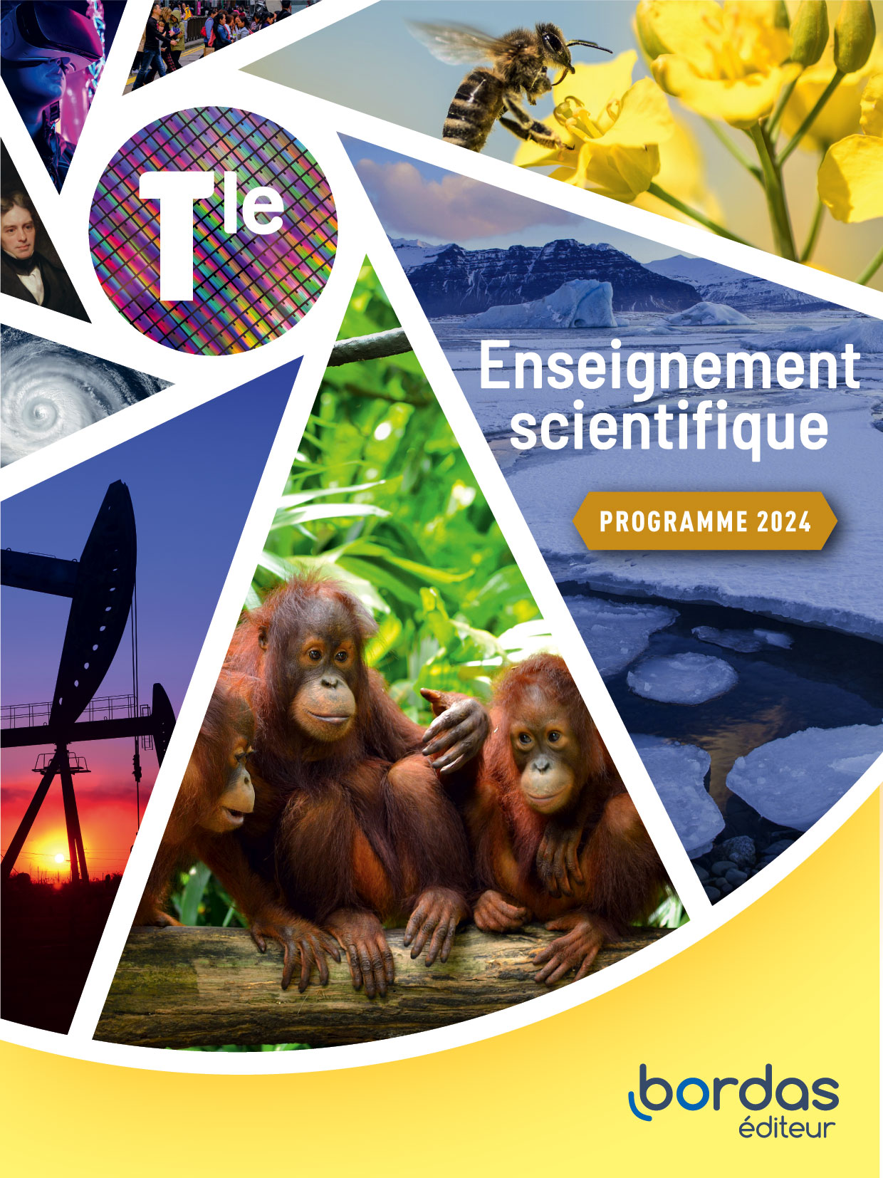 Enseignement scientifique 1re