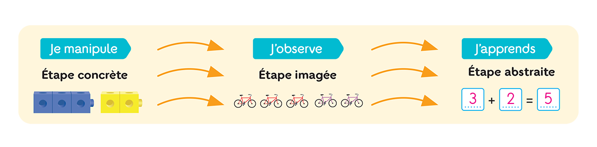 Les étapes