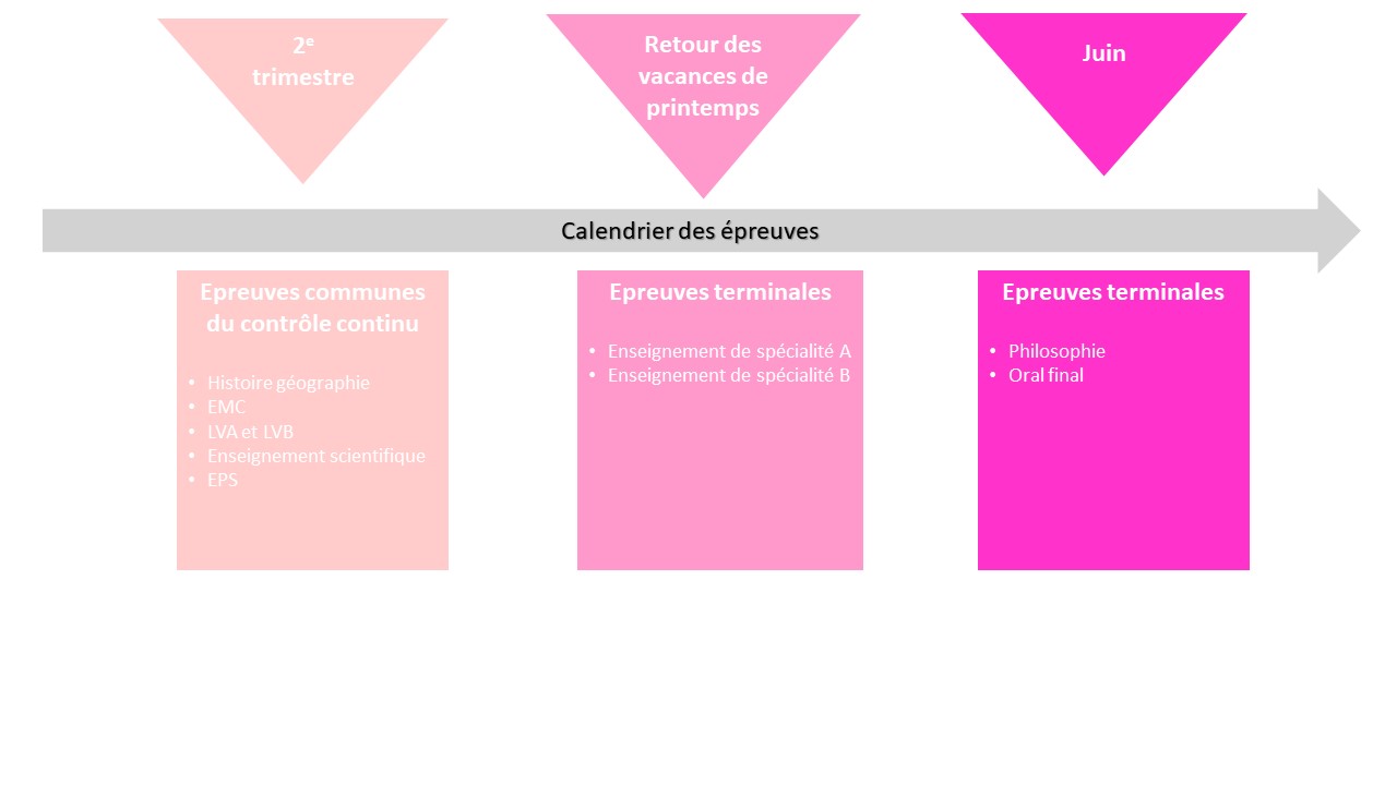 Les épreuves du Bac en classe de terminale