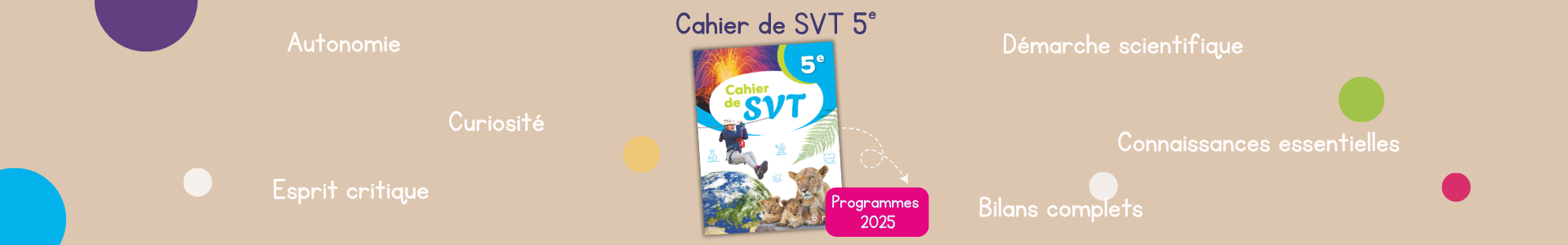  SVT 5e - 2026